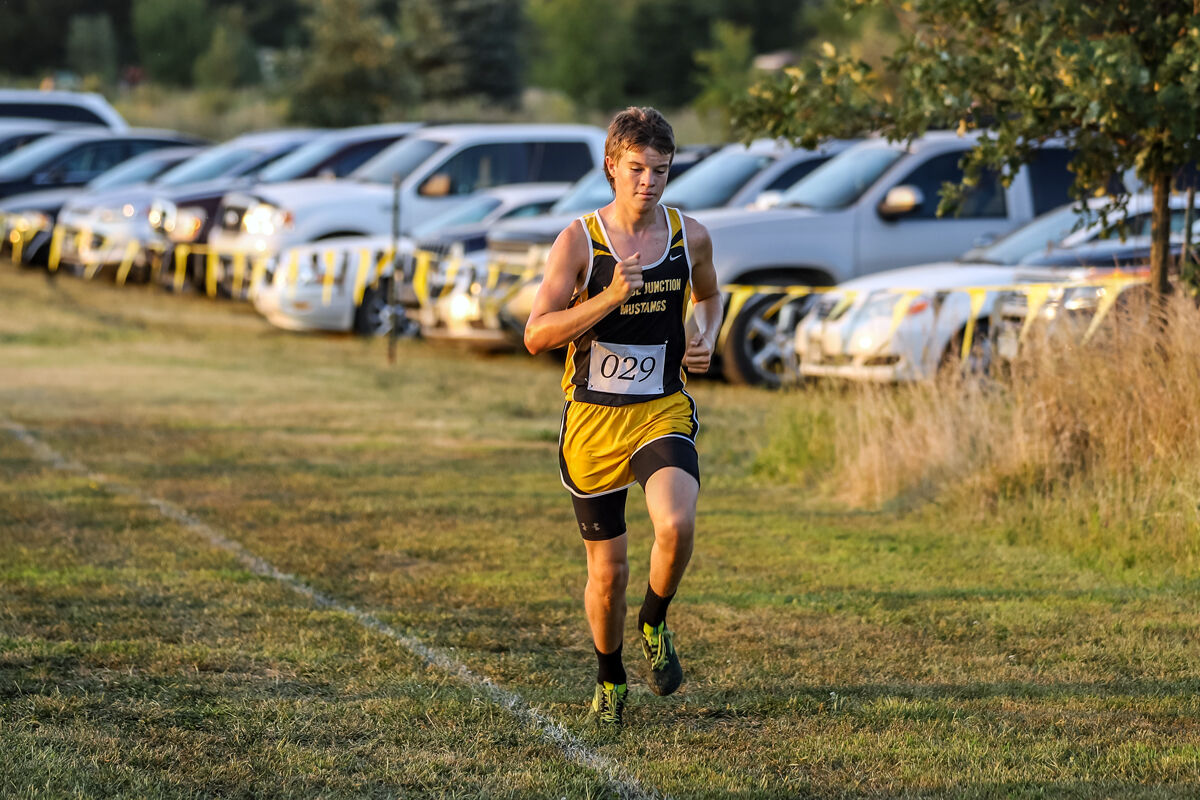York McCool Cross Country (32).jpg